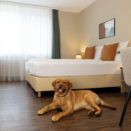 Fischzucht In 3* 维尔茨堡