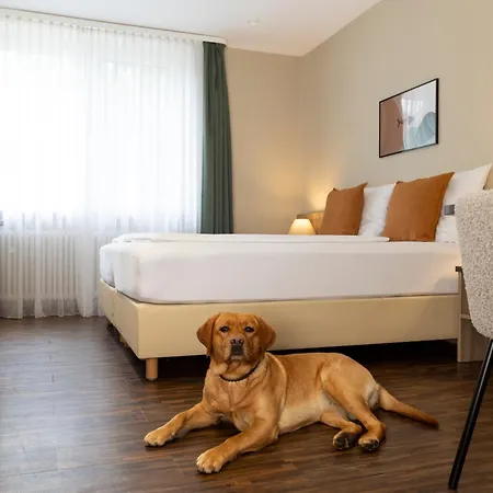 Ξενοδοχείο Fischzucht In 3*