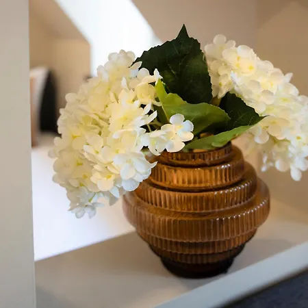 Fischzucht In Ξενοδοχείο